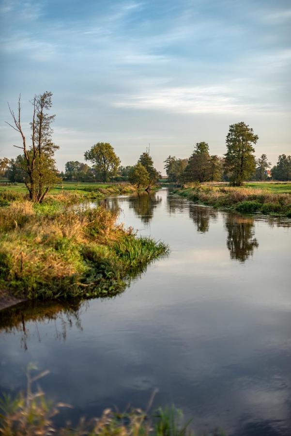 Noclegi Liw Apartments Hotel Apartamenty Węgrów Exteriör bild